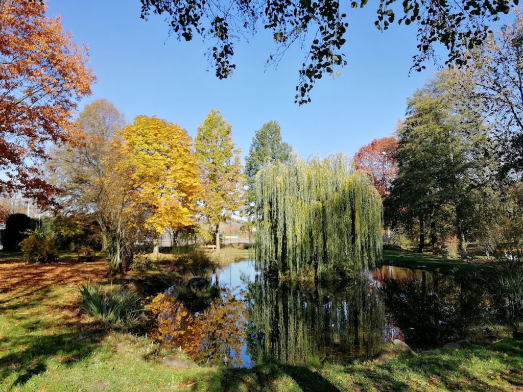 Kurgarten - Ententeich